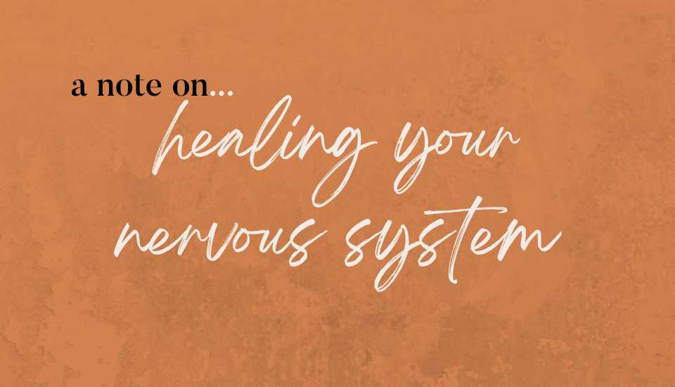 notes on freedom on healing your nervous system